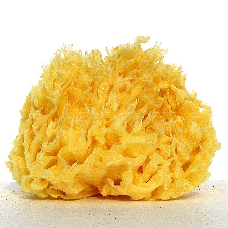 Hogyan javíthatja a görög természetes szivacs a fürdőzési élményét?